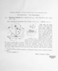 Marssonina truncatula image